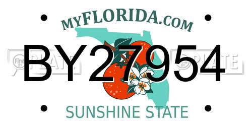 BY27954 Florida License Plate