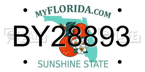 BY28893 Florida License Plate