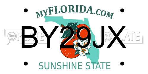 BY29JX Florida License Plate
