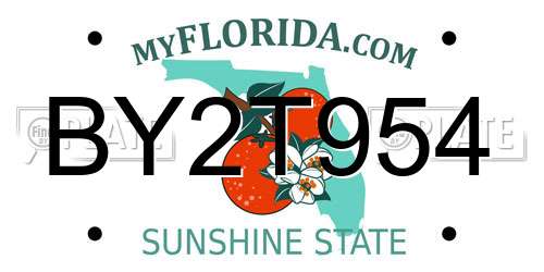 BY2T954 Florida License Plate