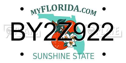 BY2Z922 Florida License Plate