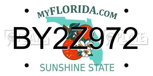 BY2Z972 Florida License Plate