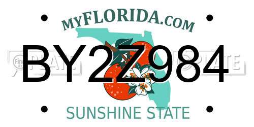 BY2Z984 Florida License Plate