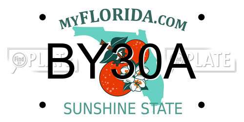 BY30A Florida License Plate