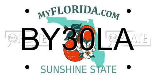 BY30LA Florida License Plate