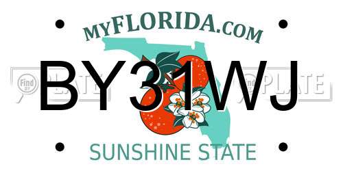 BY31WJ Florida License Plate