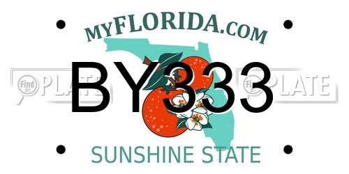 BY333 Florida License Plate