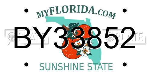 BY33852 Florida License Plate