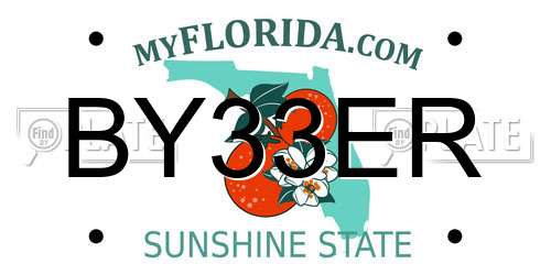BY33ER Florida License Plate