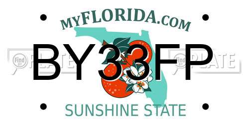 BY33FP Florida License Plate