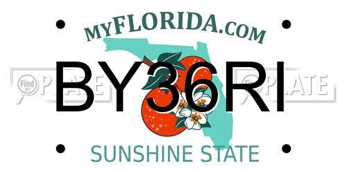 BY36RI Florida License Plate