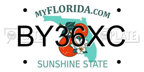 BY36XC Florida License Plate
