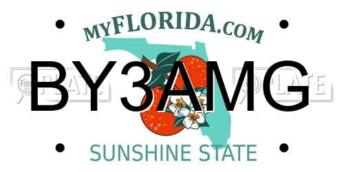 BY3AMG Florida License Plate