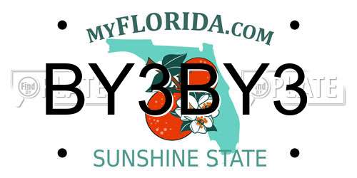 BY3BY3 Florida License Plate