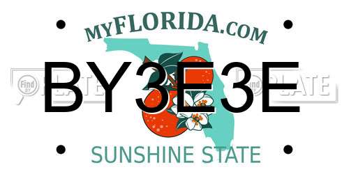 BY3E3E Florida License Plate