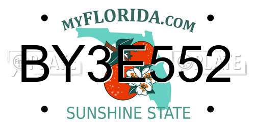 BY3E552 Florida License Plate