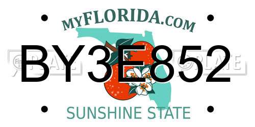 BY3E852 Florida License Plate