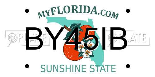BY45IB Florida License Plate