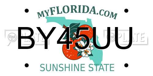 BY45UU Florida License Plate