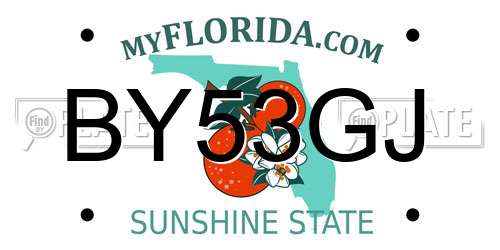 BY53GJ Florida License Plate