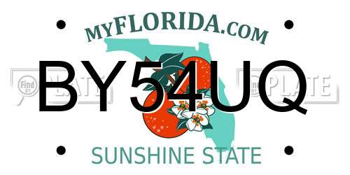 BY54UQ Florida License Plate