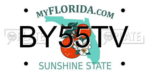 BY55TV Florida License Plate