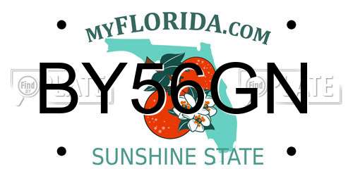 BY56GN Florida License Plate