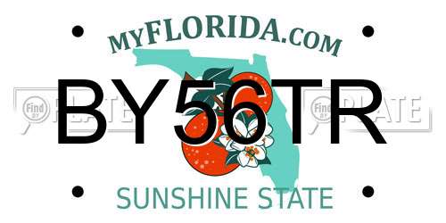 BY56TR Florida License Plate
