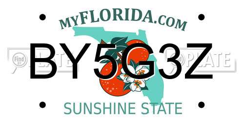 BY5G3Z Florida License Plate