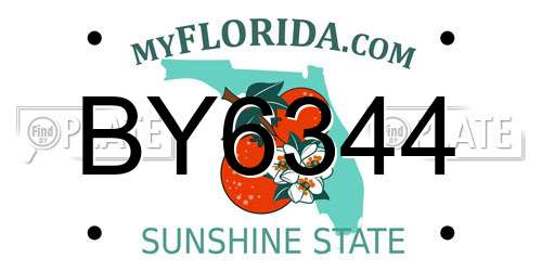 BY6344 Florida License Plate