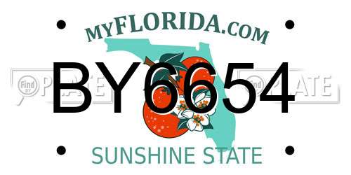 BY6654 Florida License Plate