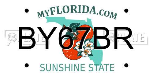 BY67BR Florida License Plate