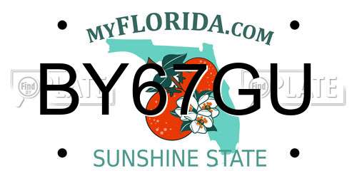 BY67GU Florida License Plate
