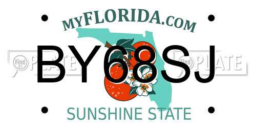 BY68SJ Florida License Plate