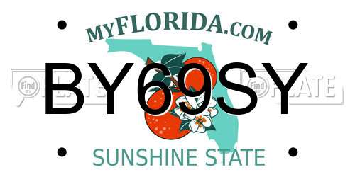 BY69SY Florida License Plate