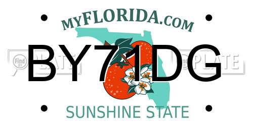 BY71DG Florida License Plate