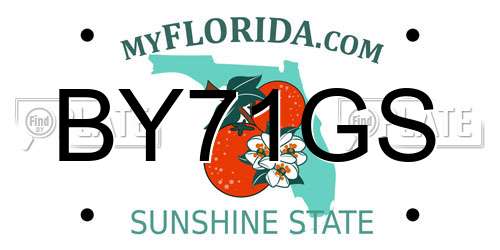 BY71GS Florida License Plate
