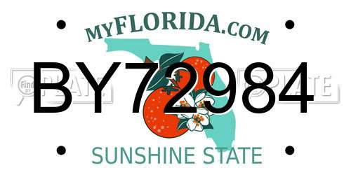 BY72984 Florida License Plate