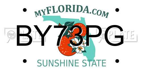 BY73PG Florida License Plate