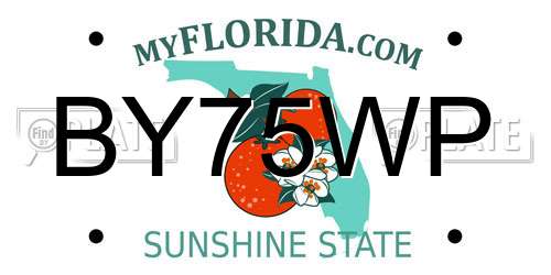 BY75WP Florida License Plate