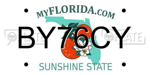 BY76CY Florida License Plate