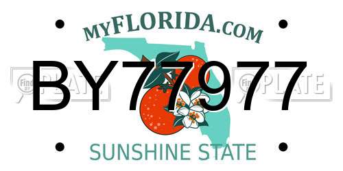 BY77977 Florida License Plate