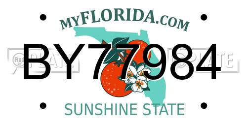 BY77984 Florida License Plate