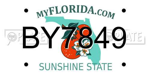 BY7849 Florida License Plate