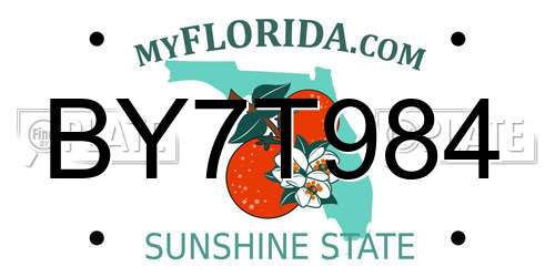 BY7T984 Florida License Plate