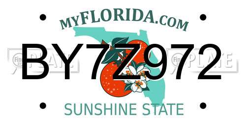 BY7Z972 Florida License Plate