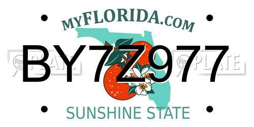 BY7Z977 Florida License Plate