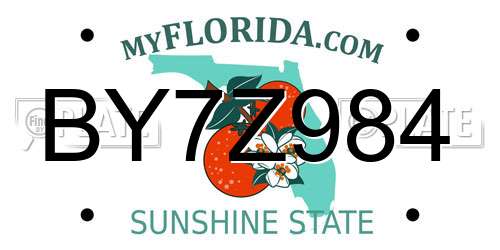 BY7Z984 Florida License Plate