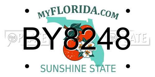 BY8248 Florida License Plate