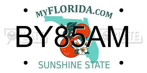 BY85AM Florida License Plate